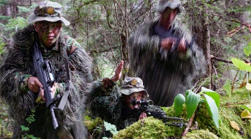 Soldiers participate in tactical training in woods