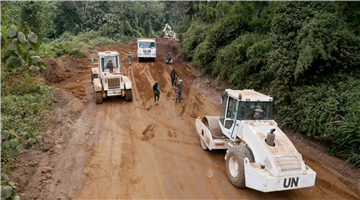 Chinese peacekeeping engineers to Congo (K) receive special awards